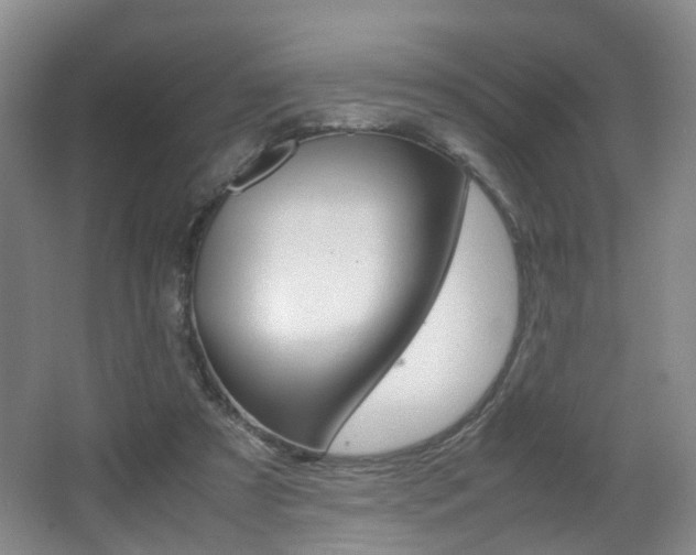 X0000064040305200601270939