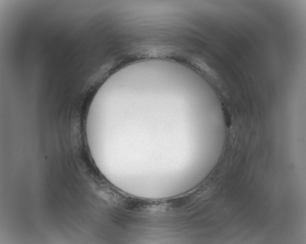 X0000064040306200601270939