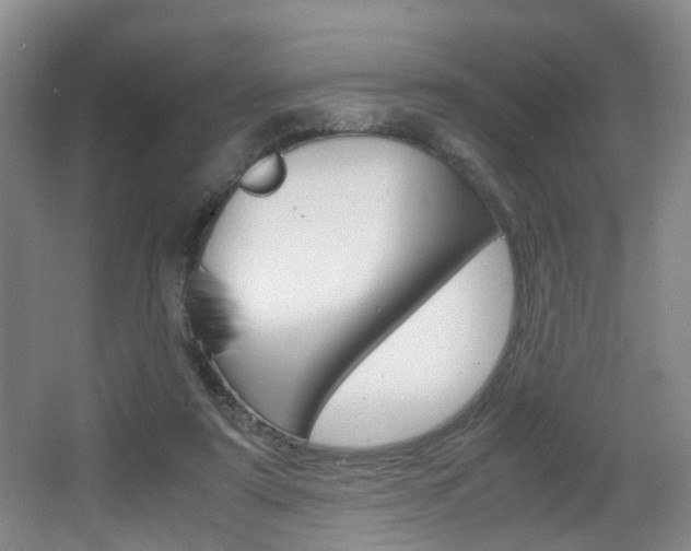 X0000064040307200601270939