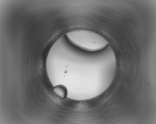 X0000064040308200601270939