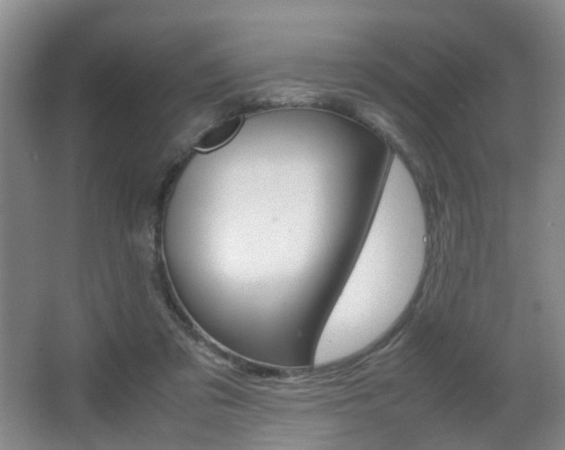 X0000064040309200601270939