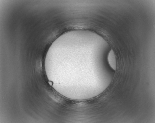 X0000064040310200601270939