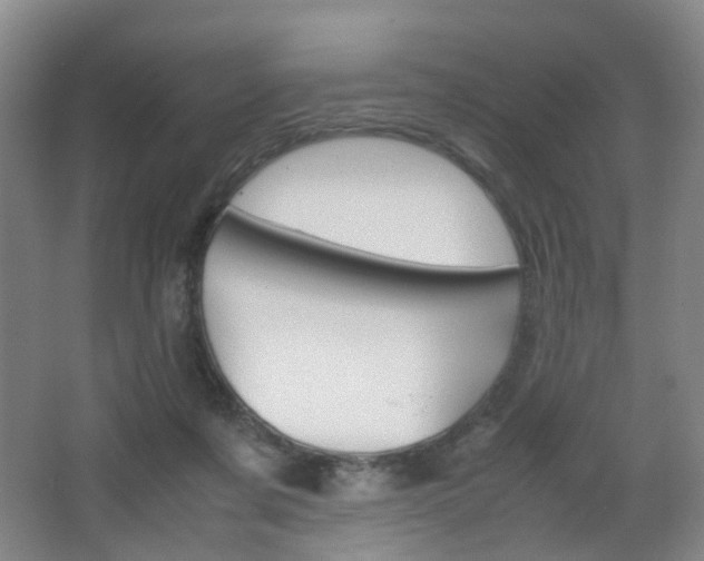 X0000064040311200601270939