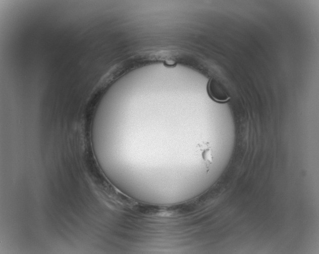 X0000064040312200601270939