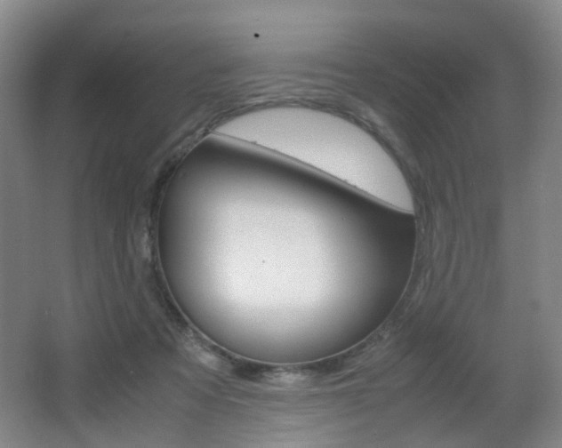 X0000064040313200601270939