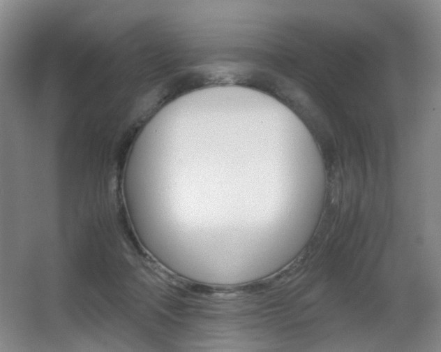 X0000064040314200601270939