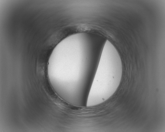 X0000064040315200601270939