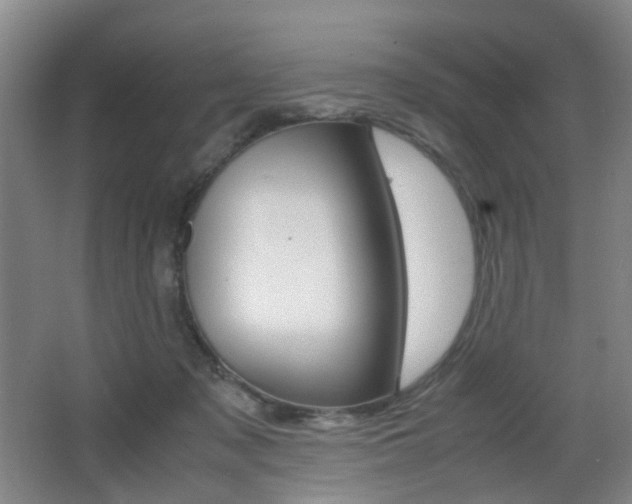 X0000064040317200601270939