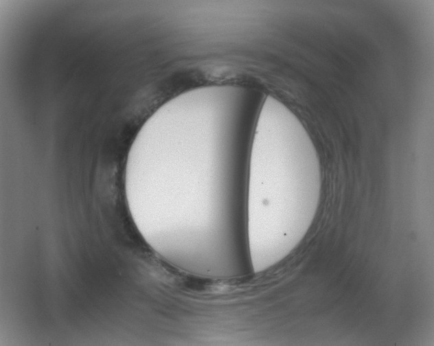 X0000064040319200601270939