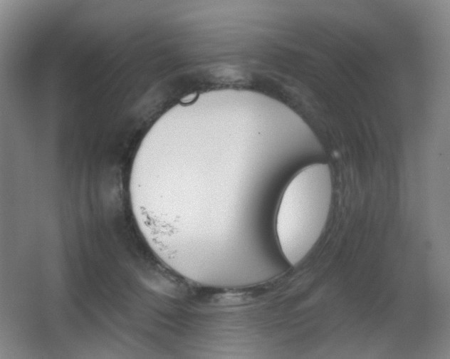 X0000064040320200601270939