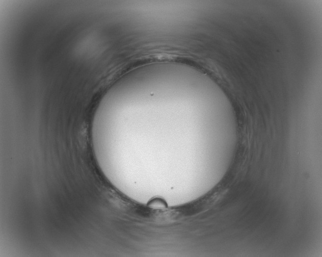 X0000064040321200601270939