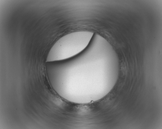 X0000064040322200601270939