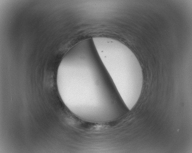 X0000064040323200601270939