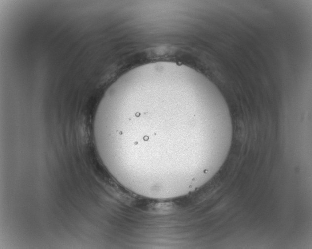 X0000064040324200601270939