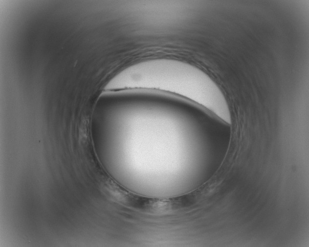 X0000064040325200601270939