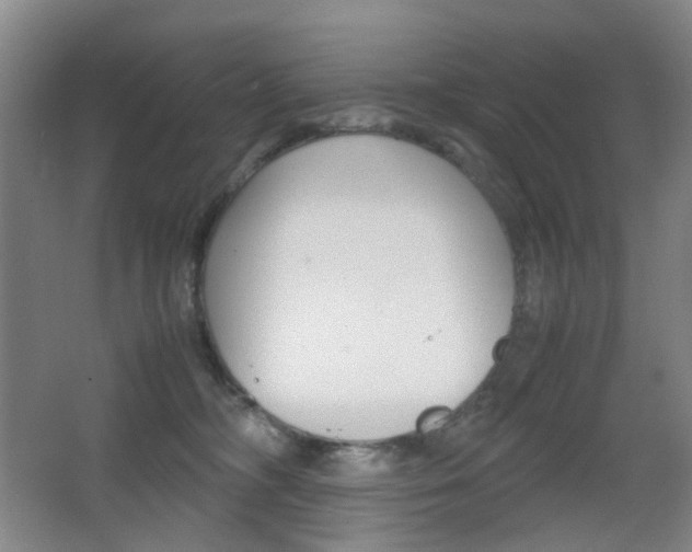 X0000064040326200601270939