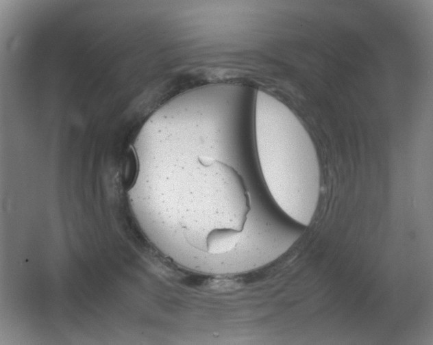 X0000064040327200601270939