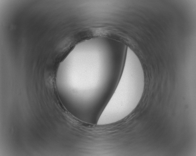 X0000064040329200601270939