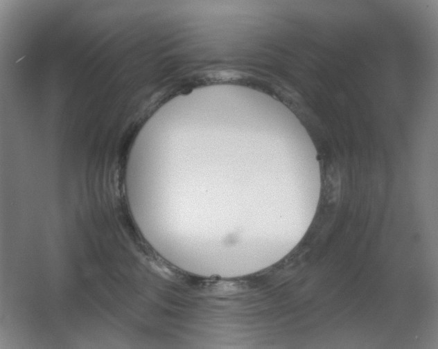 X0000064040330200601270939