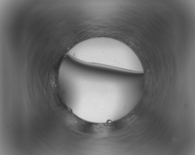 X0000064040331200601270939