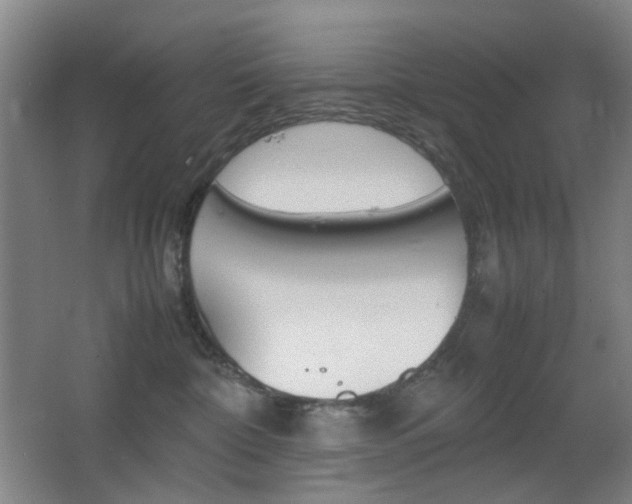 X0000064040332200601270939