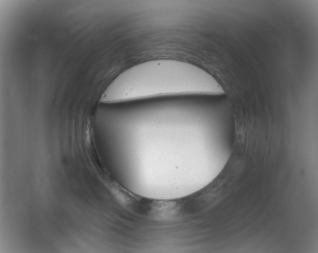 X0000064040334200601270939