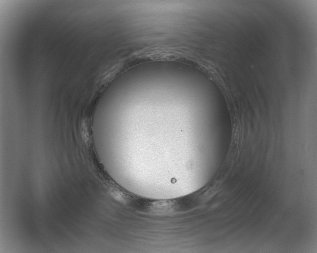 X0000064040335200601270939