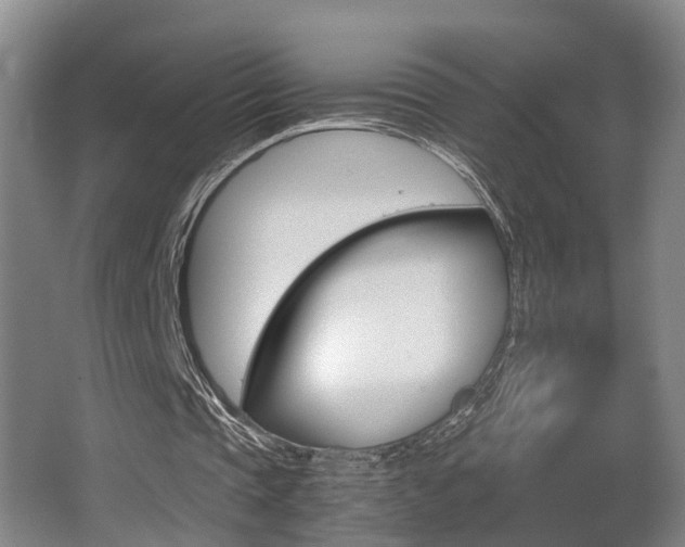 X0000064040337200601270938