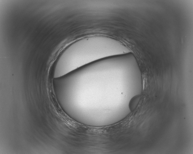 X0000064040339200601270938