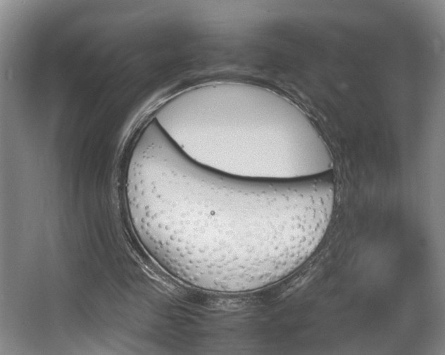 X0000064040341200601270938