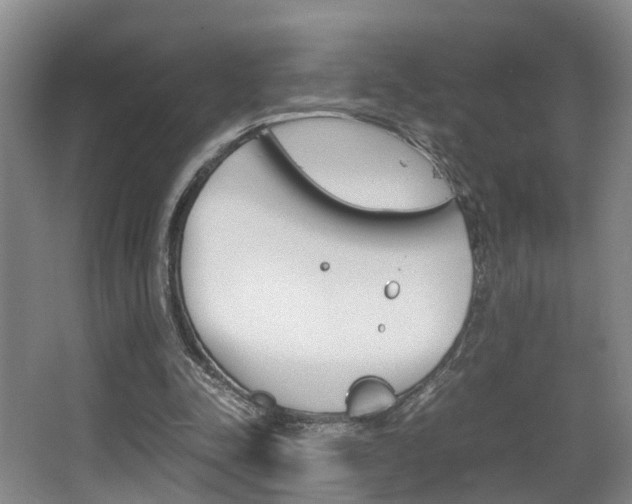 X0000064040342200601270938