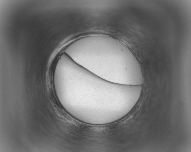 X0000064040343200601270938