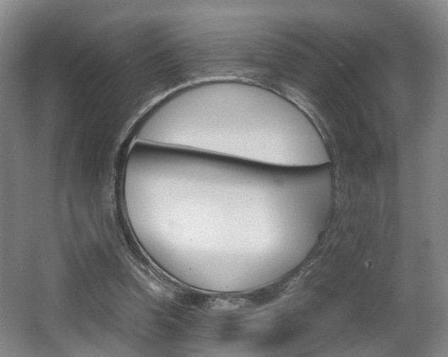 X0000064040346200601270938