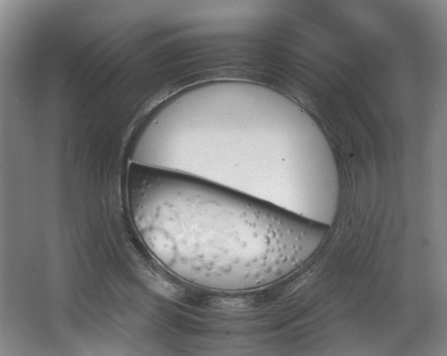 X0000064040349200601270938