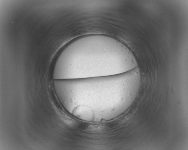 X0000064040351200601270938