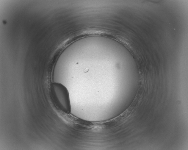 X0000064040352200601270938