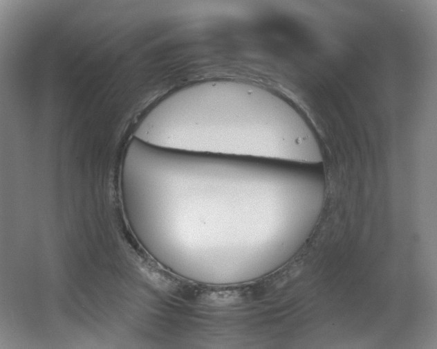 X0000064040353200601270938