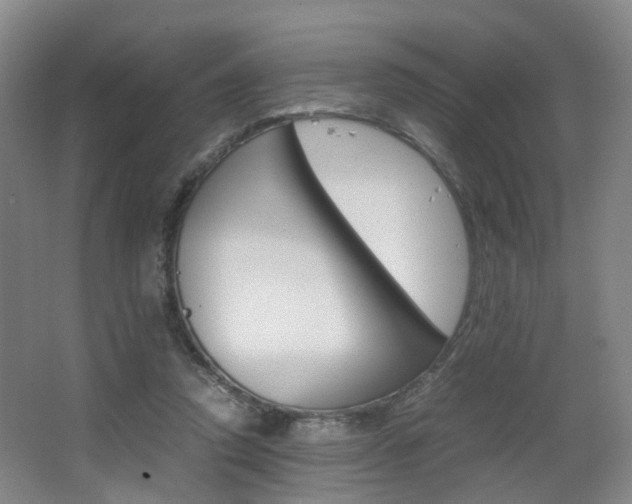 X0000064040354200601270938