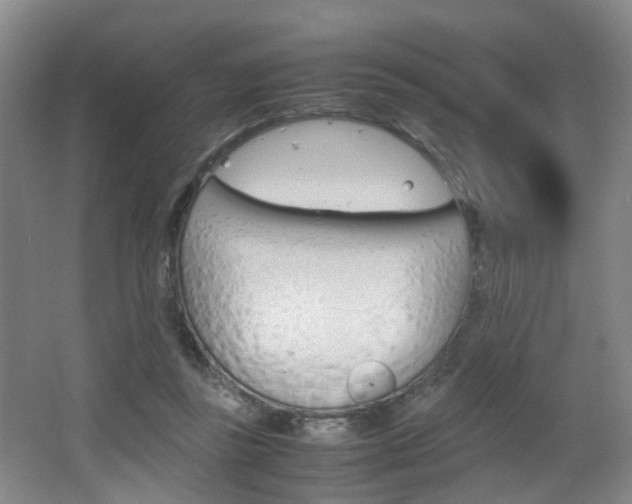 X0000064040355200601270938