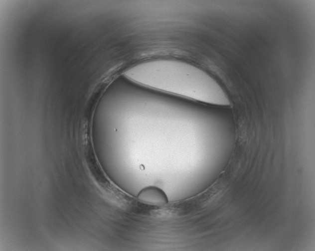 X0000064040356200601270938