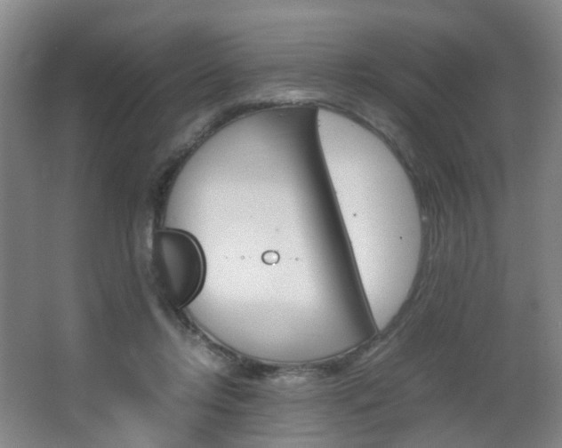 X0000064040358200601270938