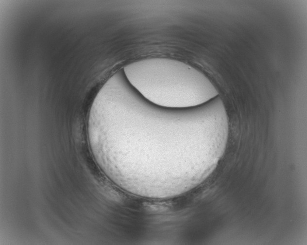 X0000064040359200601270938