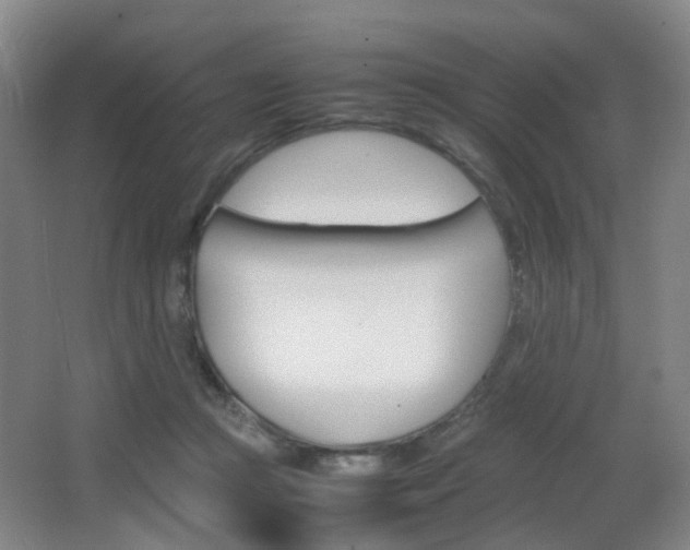 X0000064040361200601270938