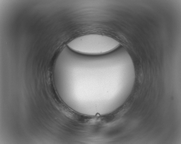 X0000064040366200601270938