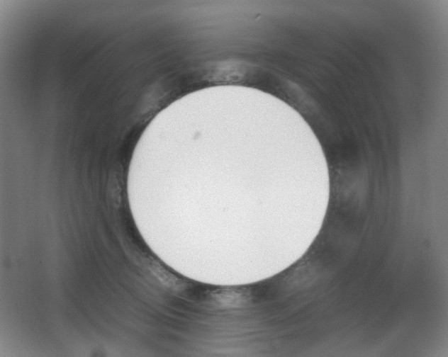 X0000064040370200601270938