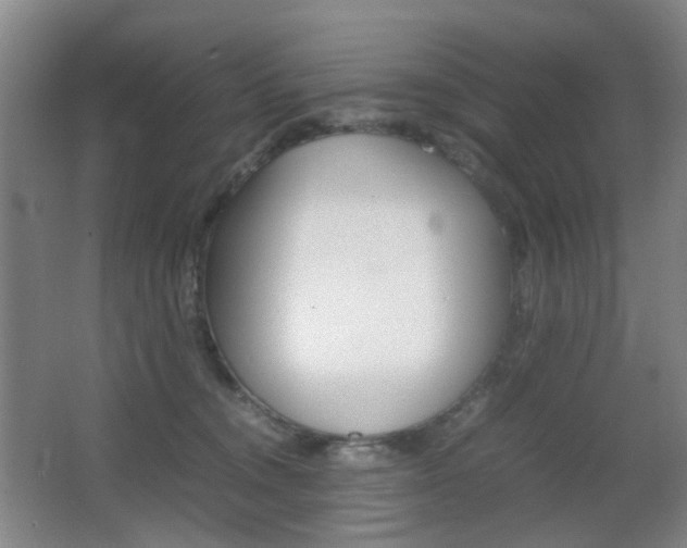 X0000064040372200601270938