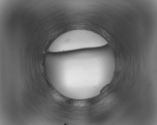 X0000064040377200601270938