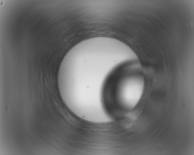 X0000064040380200601270938