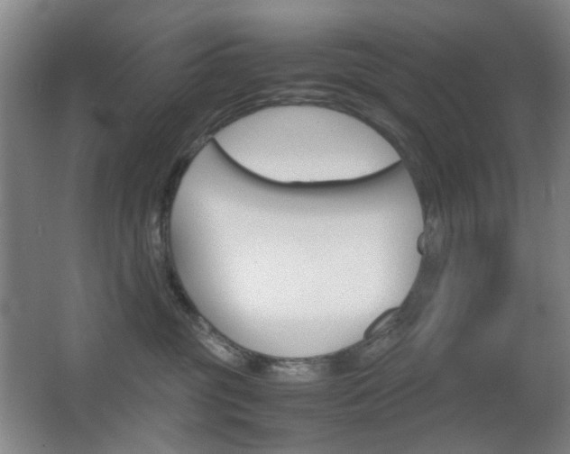 X0000064040381200601270938