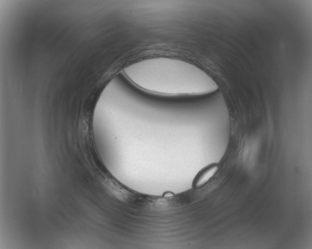 X0000064040382200601270938